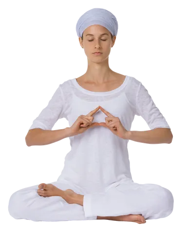 Mudra hands poses stock image. Image of meditation, isolated - 48712081