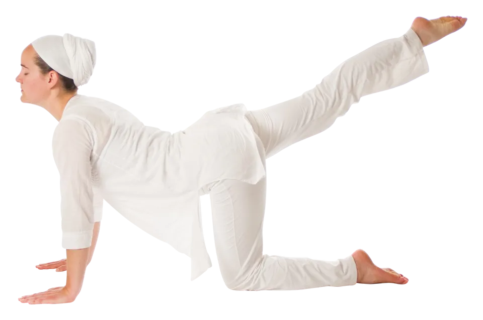 Digestion S.O.S. Yoga - Ekhart Yoga